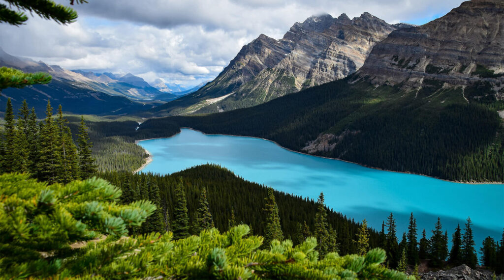 Discovering Weed in Kafue